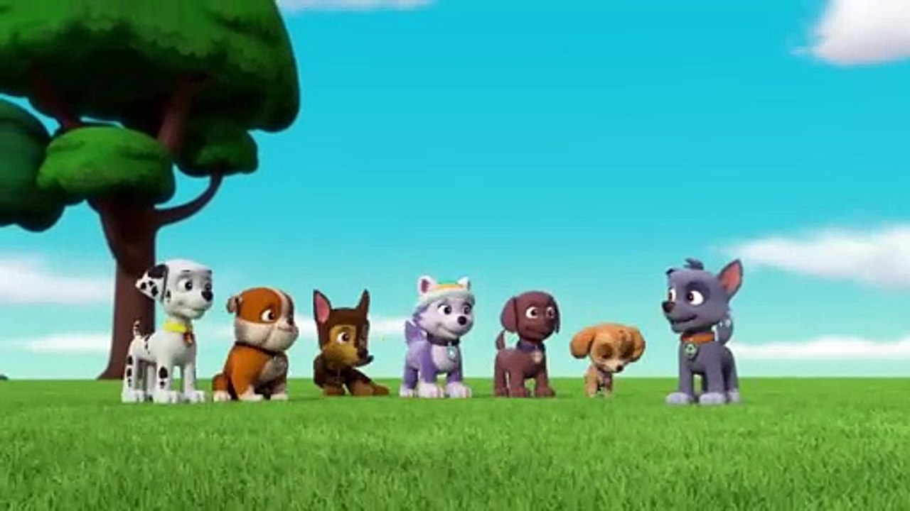 paw patrol - follow the pups