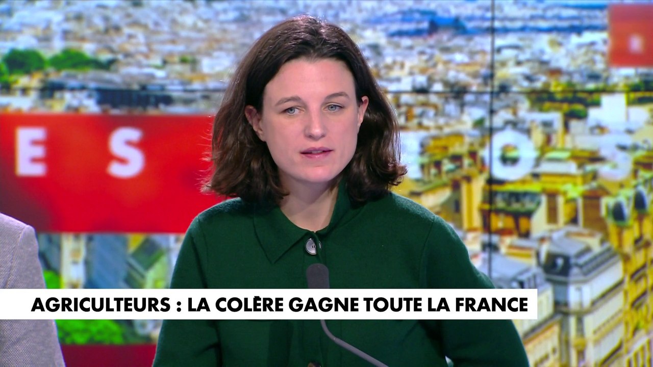 Eugénie Bastié : «Il y a un manque de cohérence des écologistes»