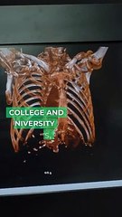 College and University Insurance Protecting Educational Institutions