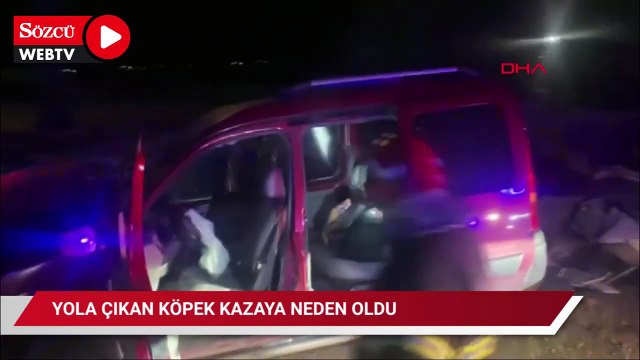 Yola çıkan köpek, kazaya neden oldu: 2 yaralı