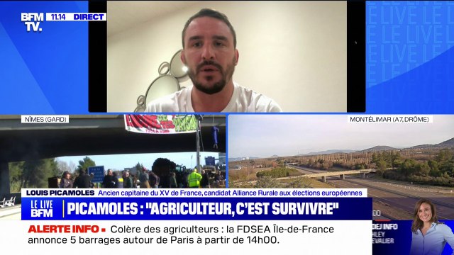 Louis Picamoles, ancien capitaine du XV de France devenu éleveur de chèvres, a pris la décision d'arrêter le projet pour des raisons économiques