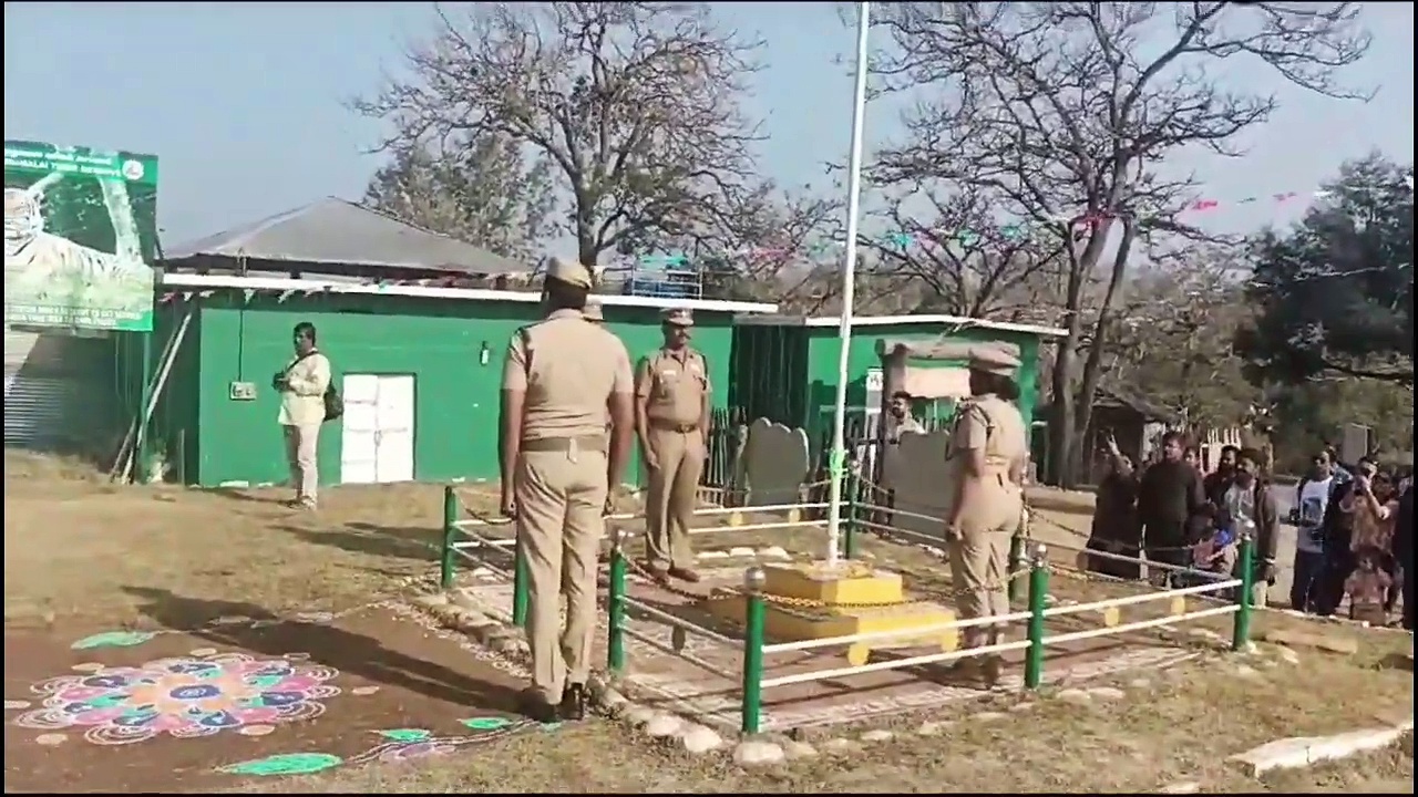 ஒரே நேரத்தில் தும்பிக்கையை உயர்த்தி தேசிய கொடிக்கு மரியாதை செலுத்திய முதுமலை வளர்ப்பு யானைகள்