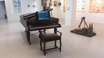 Take a quick look at Alice Briggs' exhibition ahead of her lunchtime talk today