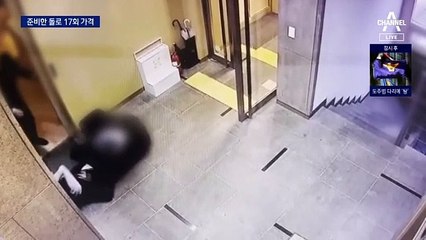 배현진 습격범, 주머니 속 돌로 17회 때렸다