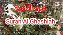 Surah Al Ghashiyah | Tilawat Surah Al Ghashiyah |Learn Quran
