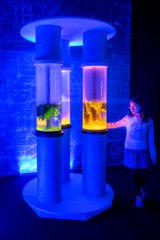 Dinozorlar, Türkiye’nin ilk holografik eğlence parkı DigiZoo’da hayat buluyor