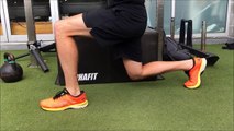 Physio Lunge (Regression) - 12 Wk Knee Program_ Rehab Ex 8 _ No.185 _ Physio REHAB