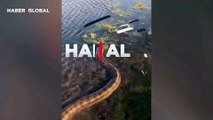 Yüzen anakondayı görüntülediği anlar viral oldu