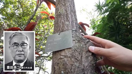 Toyota cierra su planta de São Paulo pero recuperará su máquina Komatsu