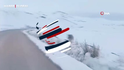 Van'da karların arasında görüldü! Fark edince kaçarak uzaklaştı