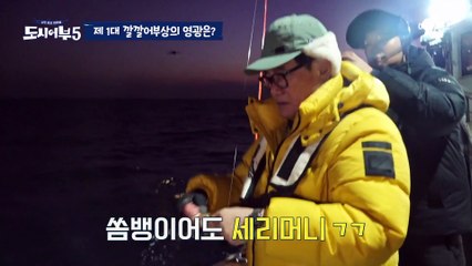 [#도시어부5] 참돔대신 웃음 노린다(?) 영광스러운 깔깔어부상의 주인공ㅋㅋ #참돔 #거제도
