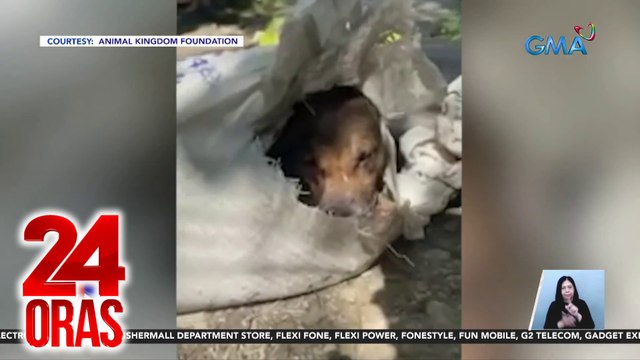 National Forum, idinaos ng AKF para matuldukan ang pagkatay sa mga aso at pagbebenta ng karne nito | 24 Oras