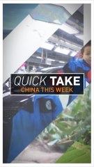 China Quick Take: Six stories you may have missed this week
