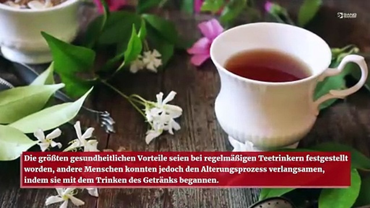 Drei Tassen Tee am Tag sollen den Alterungsprozess verlangsamen