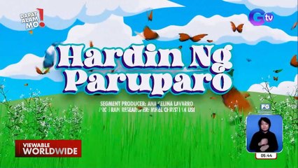 Mga paruparo, may makulay na kitang hatid! | Dapat Alam Mo!