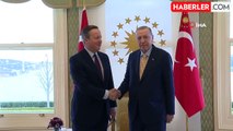 Cumhurbaşkanı Erdoğan, Birleşik Krallık Dışişleri Bakanı Cameron'u kabul etti