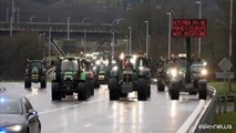 Anche gli agricoltori del Belgio si uniscono alla protesta