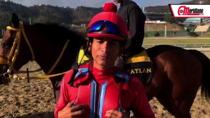 Conoce a Jorge Luis Pérez: Destacado Jinete de Hipismo 🏇
