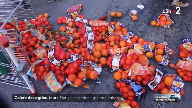 Colère des agriculteurs - Regardez les images des supermarchés et des bâtiments publics attaqués depuis plusieurs heures par des manifestants à travers la France