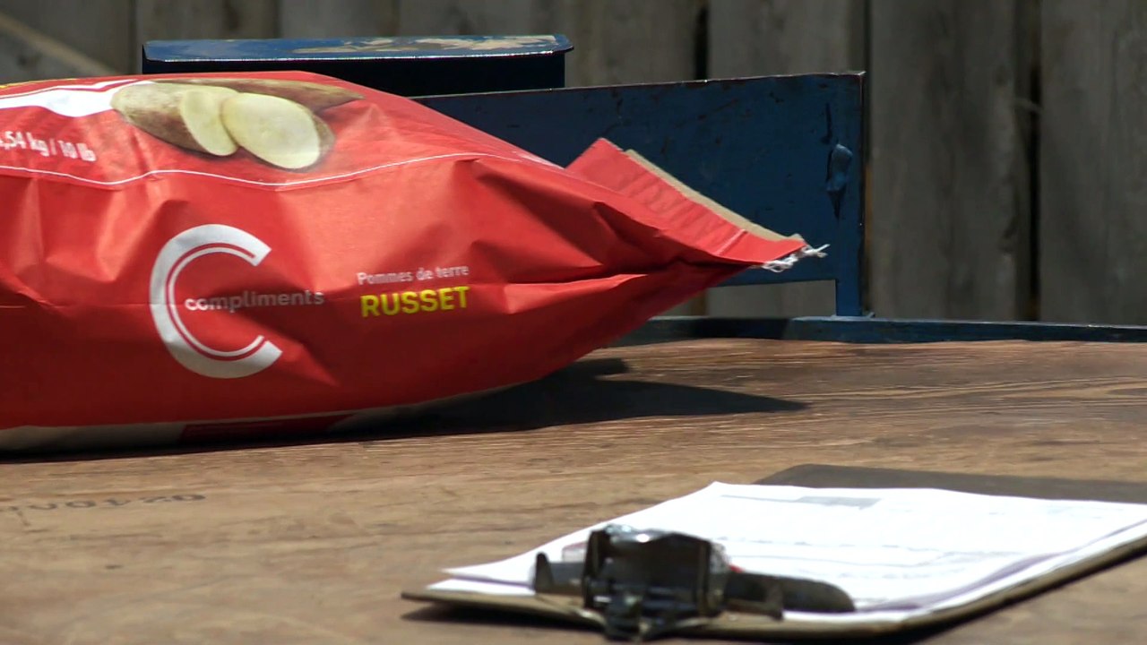 26 janv TOPO LPM patasol releve agricole pomme terre