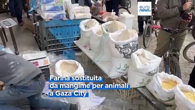Gaza, crisi umanitaria catastrofica: mancano cibo e acqua, l'intera popolazione afflitta dalla fame