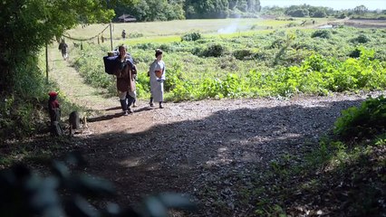 Gold & Silver Insights 💰