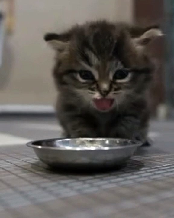 Doesn't Taste Good  