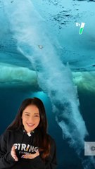 Le doigt glacé de la mort : un phénomène aussi impressionnant que terrifiant. @virginiehilssone t’explique comment il se forme !