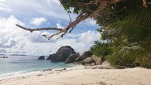 Echappées belles - Les Seychelles, précieuse nature