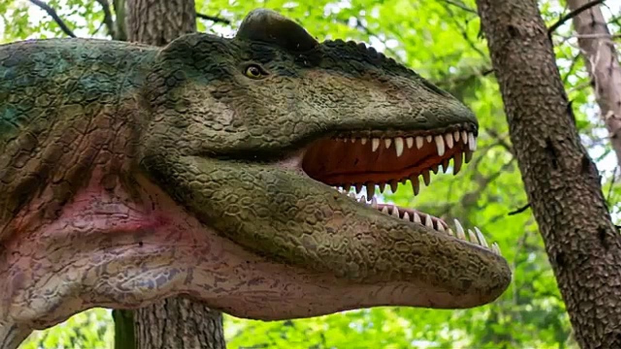 Dino Brained Full Movie Watch Online 123Movies