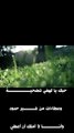 #shorts     احتاج اليك واهرب منك- ماجدة الرومي 3- - فيديو كليب