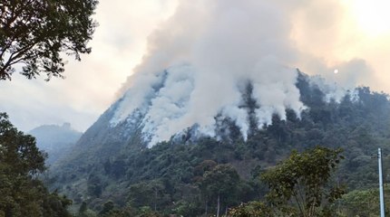 Incendio forestal en La Pradera completó más de 48 horas