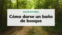 Cómo darse un baño de bosque