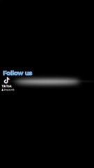 Fleetwood Mac | Dreams Reaction