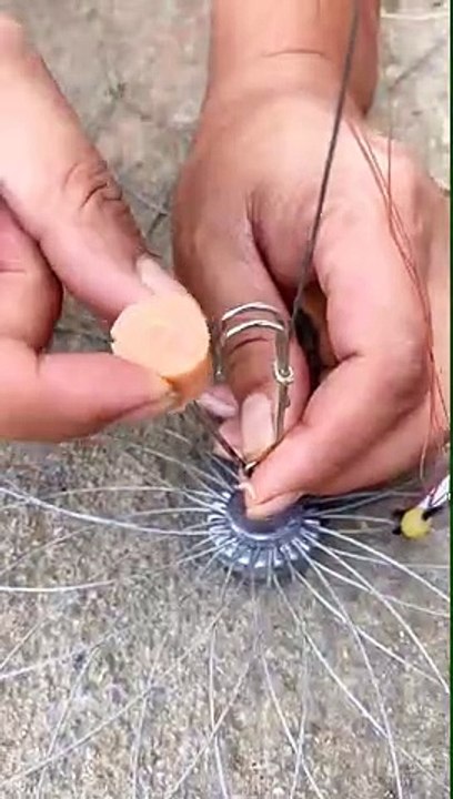 The Greatest invention of Fishing