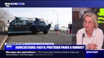 Mobilisation des agriculteurs: le marché de Rungis est 