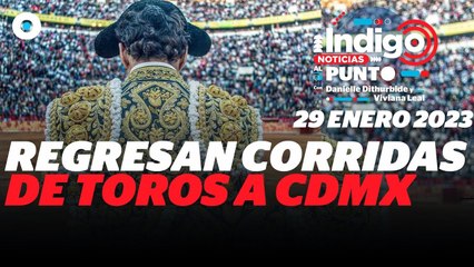 Manifestación contra la fiesta brava | Reporte Indigo