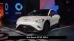 Priced at 249.900 Yuan and Pure Electric Range of 580 Km , New Smart Elf #3 2024