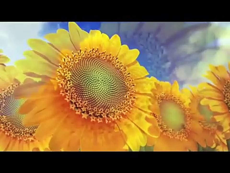 SUITE DE FIBONACCI