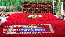 Vietnamese incense village turns into Instagram hotspot