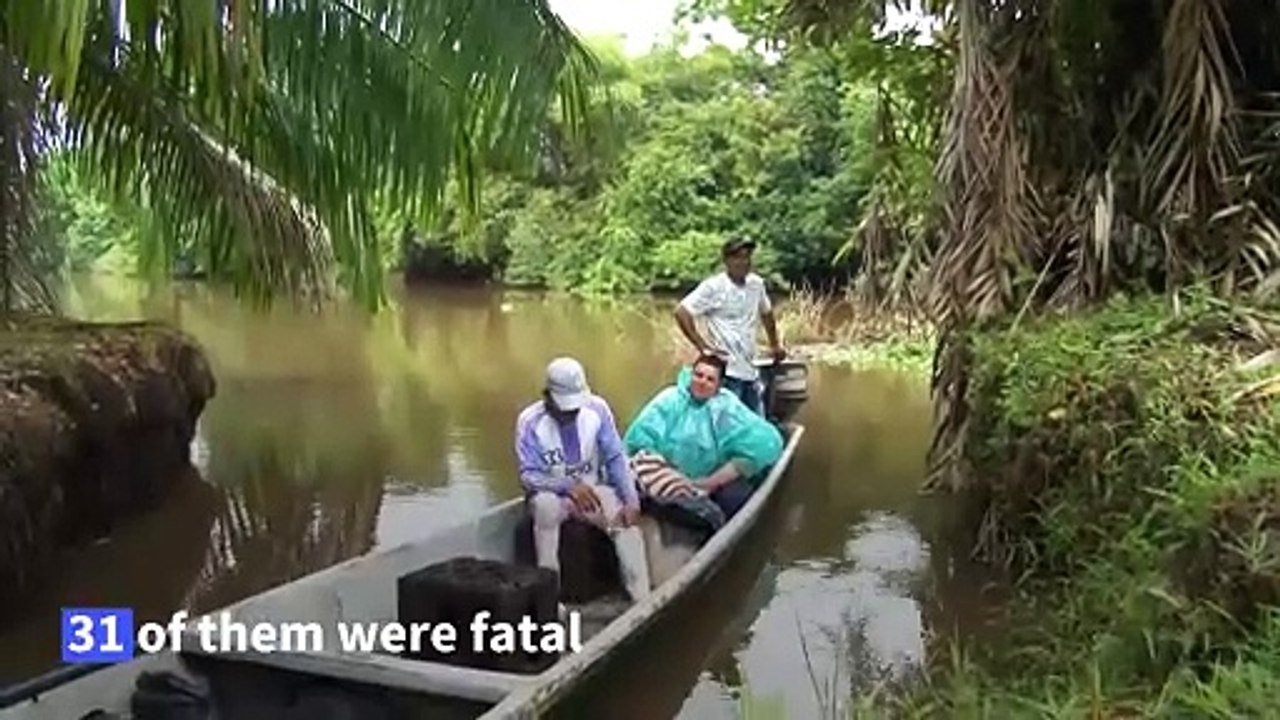 Fishermen watch over endangered manatees in Col...
