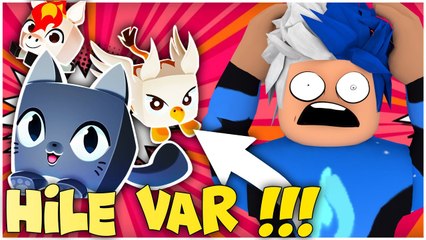 BİR OYUNUN BİTİŞİ HİLE VAR !!! | ROBLOX PET SIMULATOR X  | HAN KANAL EKİP