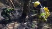 Colômbia perde mais de 17 mil hectares de vegetação em incêndios
