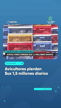 Avicultores pierden $us 1,5 millones diarios
