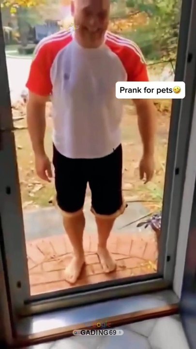 Prank with pet