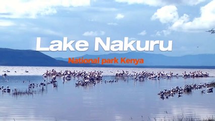 Lake Nakuru- Kenya