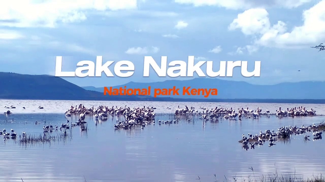 Lake Nakuru- Kenya