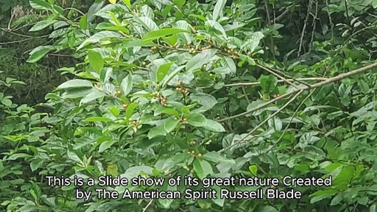 Missouri Nature Slide Show by Russell Blade