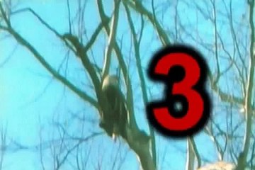 More Snow by The American Spirit Russell Blade