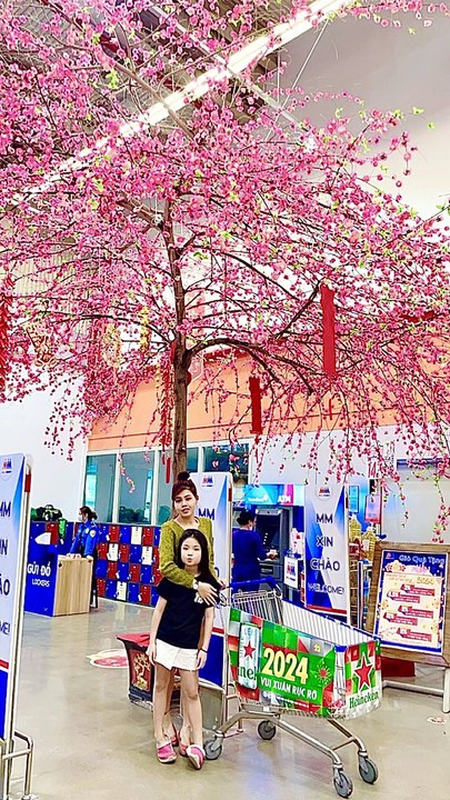 Vietnamese New Year 2024 - The biggest Holiday in Vietnam is in the air and coming soon in 2 weeks